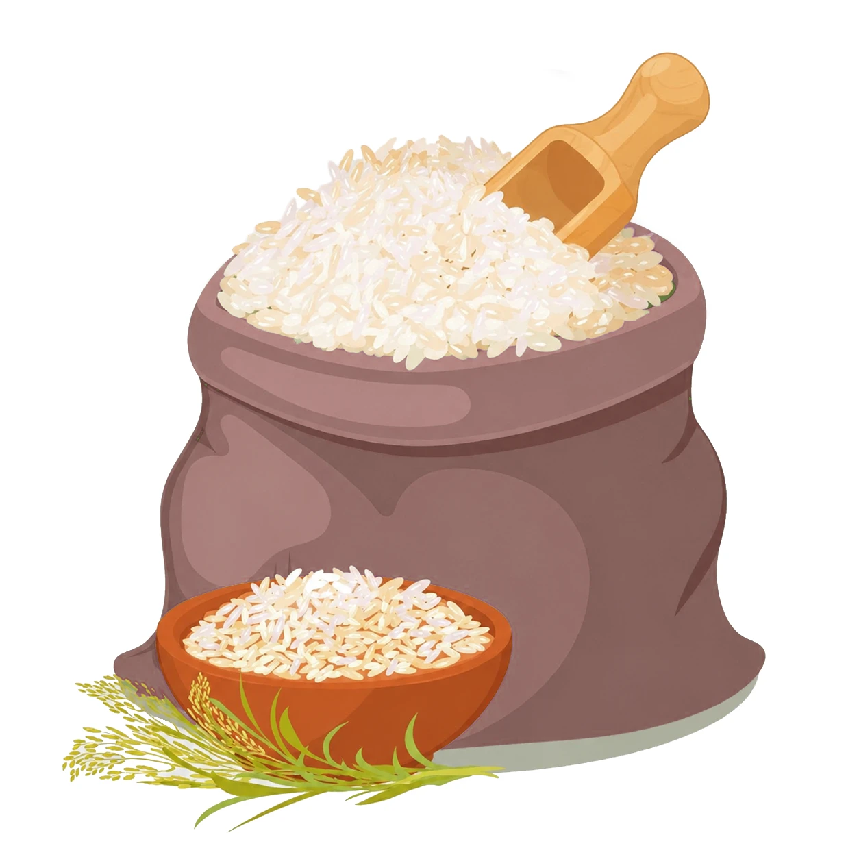 Rice